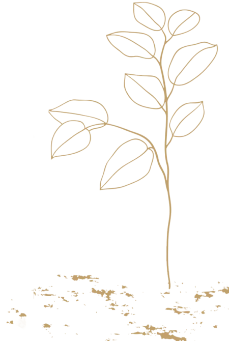 Icone d'une plante