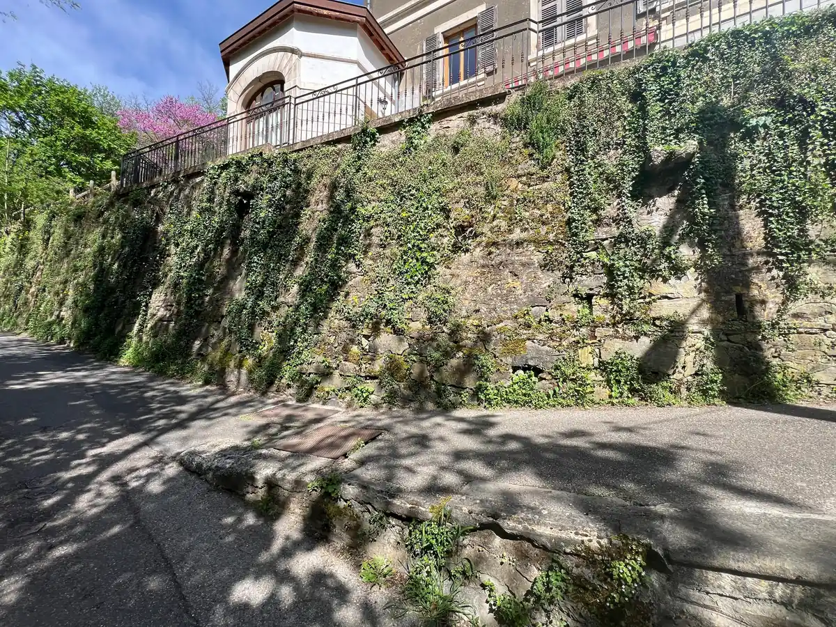 Mur recouvert de végétation avant rejointement