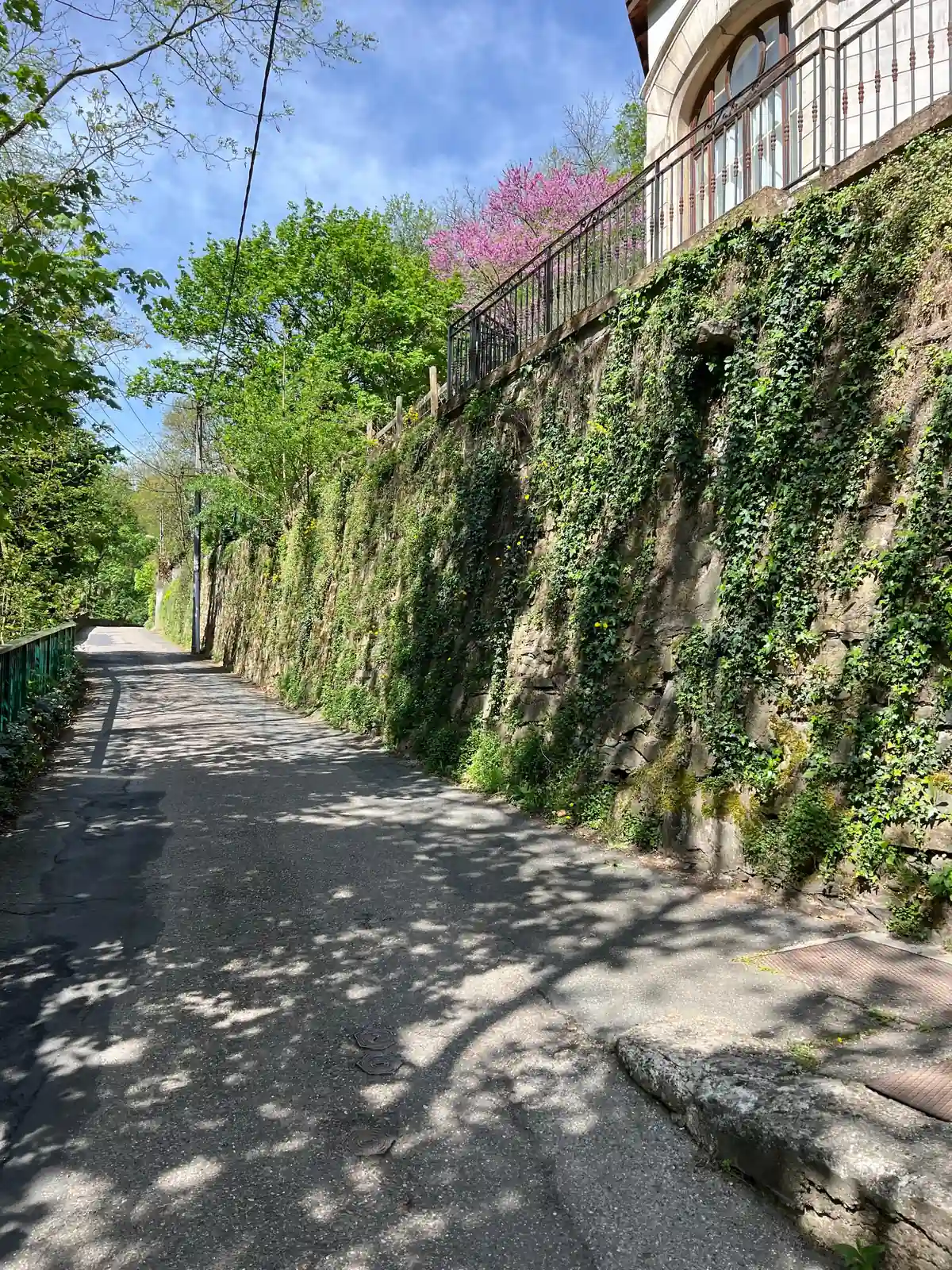 Vue sur mur recouvert de liège