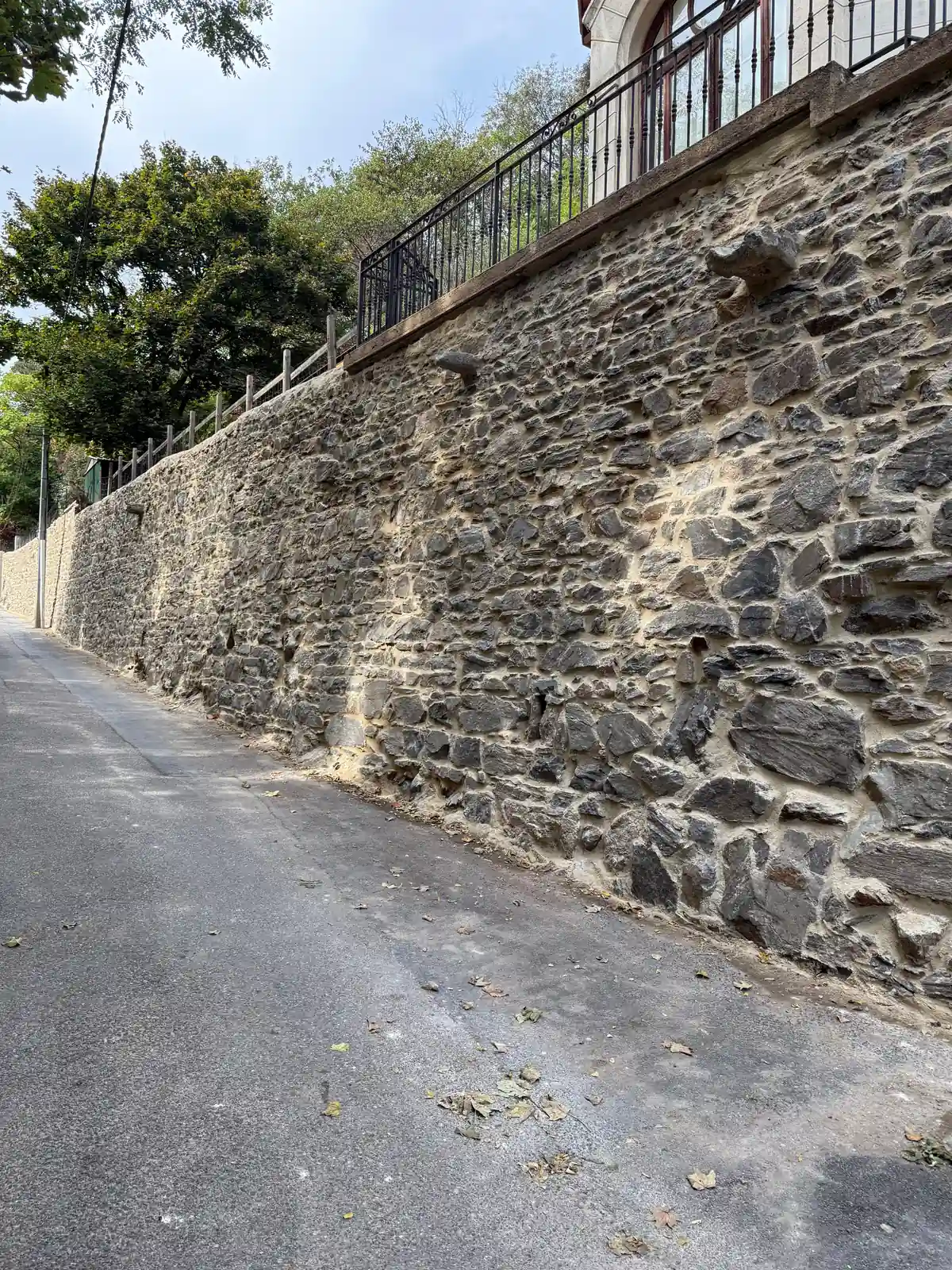 Rejointement du mur après nettoyage de la végétation